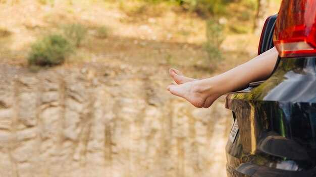 Techniques for Cornering on Wet Surfaces