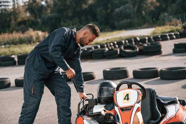 Tactical Decisions on Tire Selection During Races