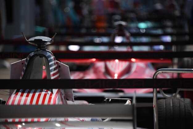 Role of pit strategy in professional racing Role of pit strategy in professional racing