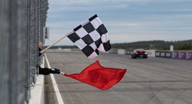 Decoding Track Flags: What Each Color Signifies